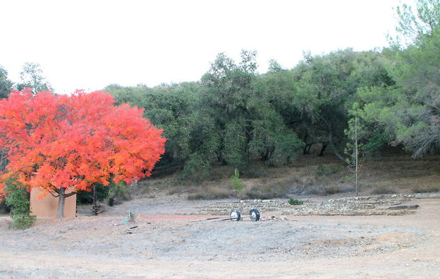 CircleVRanch Amph 11-2015  001
