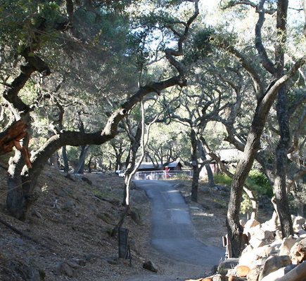 CircleVRanch GirlsCabin 11-2015  014