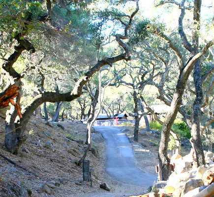 CircleVRanch Roads 11-2015  002 hero
