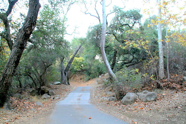 CircleVRanch Roads 11-2015  003