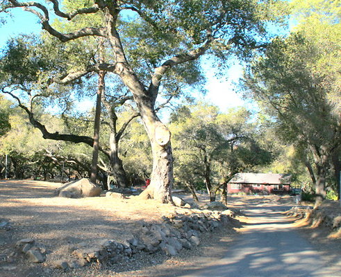 CircleVRanch Roads 11-2015  001