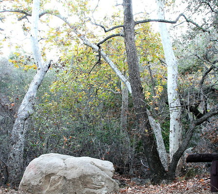 CircleVRanch Views 11-2015  008