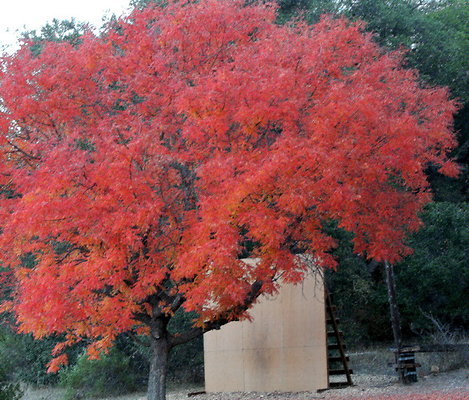 CircleVRanch Views 11-2015  007